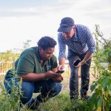 Photo of EcoFlora scientists looking at a phone