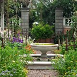 Image of fountain from Wild Medicine in the Conservatory