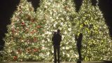 A family standing in front of three lit up Christmas trees