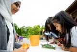 Two children exploring a plant with microscopes.