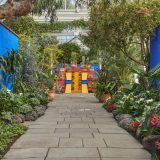 Image of Frida Kahlo exhibition in the Conservatory