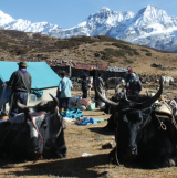 Photo of India