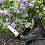 Photo of an artist with lilacs