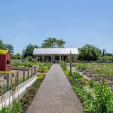 Picture looking down the Edible Academy path during a sunny day