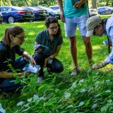 Students learning at NYBG