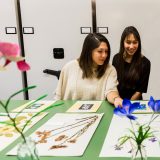 Two women looking at herbarium specimens.