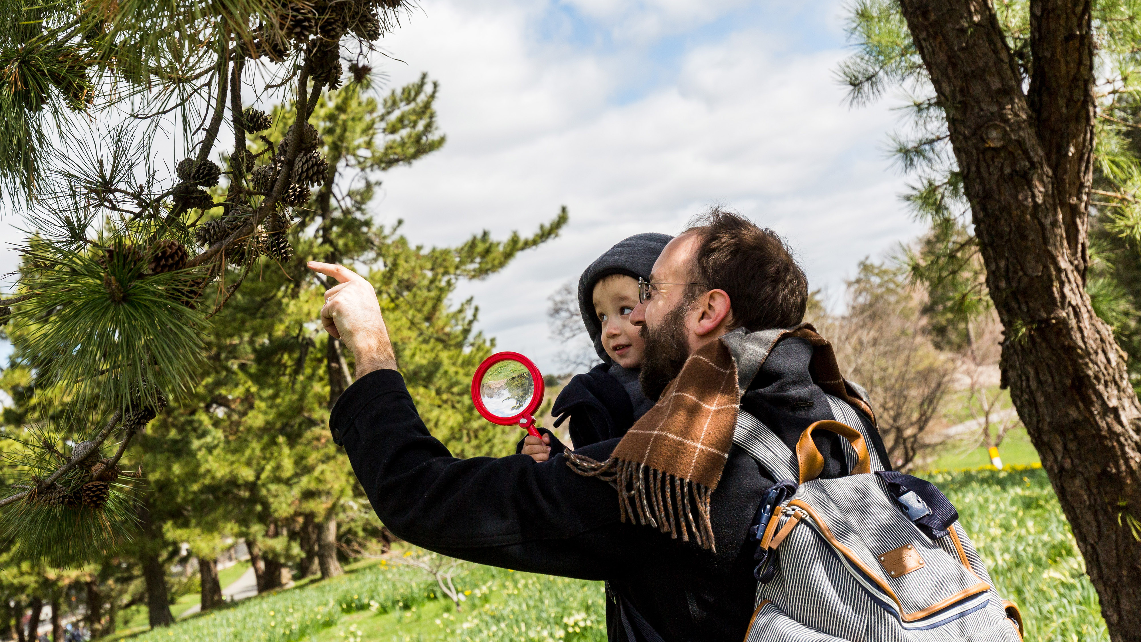 Photo of a father and son exploring trees
