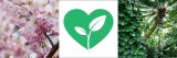 Close up of cherry blossoms, white space with green heart and plant icon, and photo looking up into a palm tree