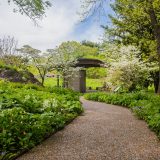 Image of the native plant garden path by the Education pavilion