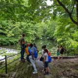 Kids standing by the Bronx River in the Thain Family Forest