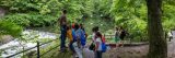 Kids standing by the Bronx River in the Thain Family Forest
