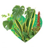 Photo of #plantlove logo