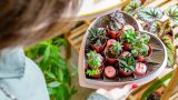 Photo of person opening a heart box of mini plants