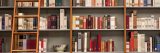 A shelf with books on it and a wooden ladder