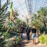 People walking through the Conservatory.