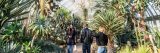 People walking through the Conservatory.