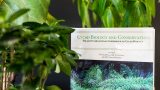 Photo of a Cycad book