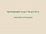 the noun agrostography defined as a description of the grasses