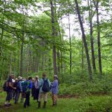 Urban Naturalist students in a forest.