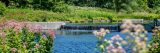 view of the waterfall and pink flowers from the native plant garden