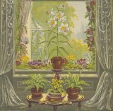 Illustration of houseplants