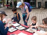 Children sorting seeds on a red table