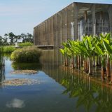 A building near a stand of palms.