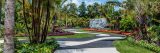 A shot of Brazilian Modern showing palms, black-and-white curved pathways, and a variety of Brazilian plants.