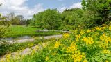 Photo of the Native Plant Garden