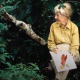 Margaret Mee sitting on a branch in a forest.