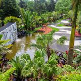 An aerial view of the exhibition, displaying high-reaching palms, a sculptural water feature, and bright, colorful plants.