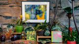 Photo of NYBG Shop display