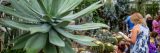 Students examining plants in the Conservatory.