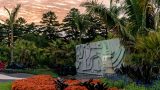 A twilit sculptural water feature in Brazilian Modern.
