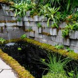 A pond surrounded by a stone wall and vibrant green plants.