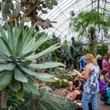 Teachers learning in the Conservatory