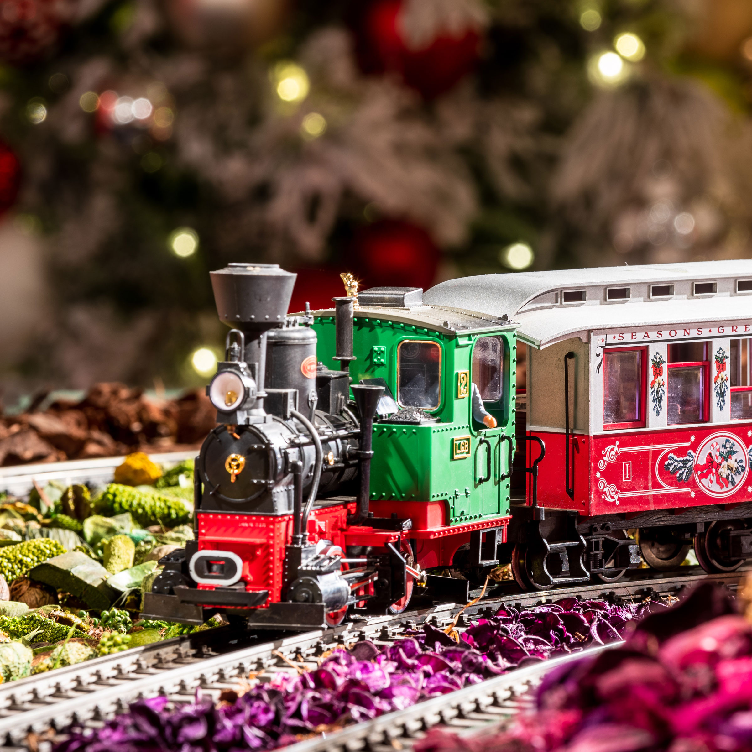 Holiday Train Show® and NYBG GLOW » New York Botanical Garden
