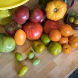 Red, orange, and purple tomatoes.