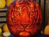 Pupmkin carved to look like a tiger