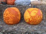 Two carved pumpkins sitting on hay bales