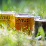 Photo of beers in the grass