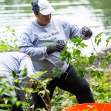 Photo of a volunteer weeding