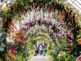 view of the orchid show arches with people standing underneath looking at flowers