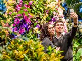 Woman and a man taking a selfie photo with their phone with the orchid show super tree behind them