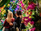 The back of two ladies taking a photo of themselves in front of bright pink orchids