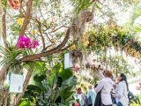 People taking pictures in the orchid show arches, with a bright pink orchid showing a sign that the orchid is named for Awkafina