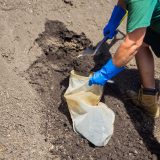 Photo of gathering compost