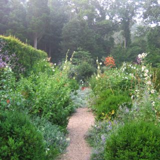 Photo of Deborah Nevins' lush garden