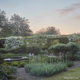 Photo of a sunset garden