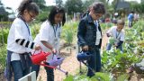 Photo of kids in the Edible Academy
